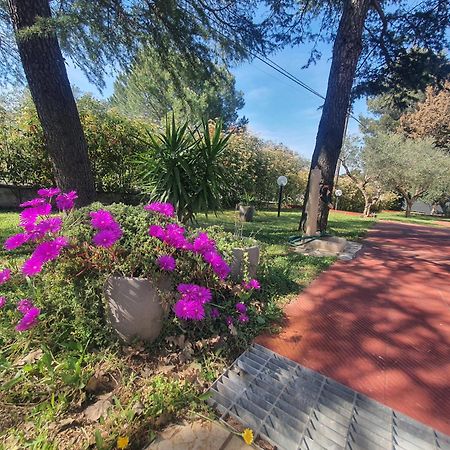 Mercadante - Luxury Holiday House Cassano delle Murge Exterior photo