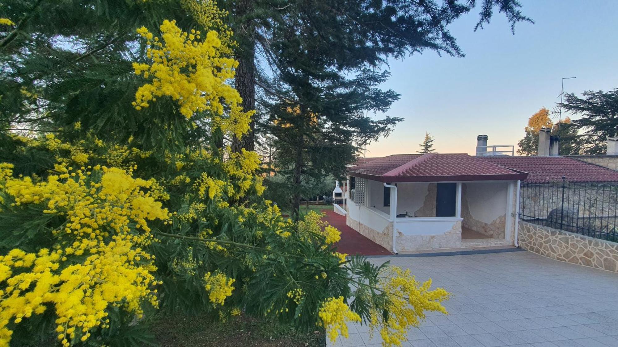 Mercadante - Luxury Holiday House Cassano delle Murge Exterior photo