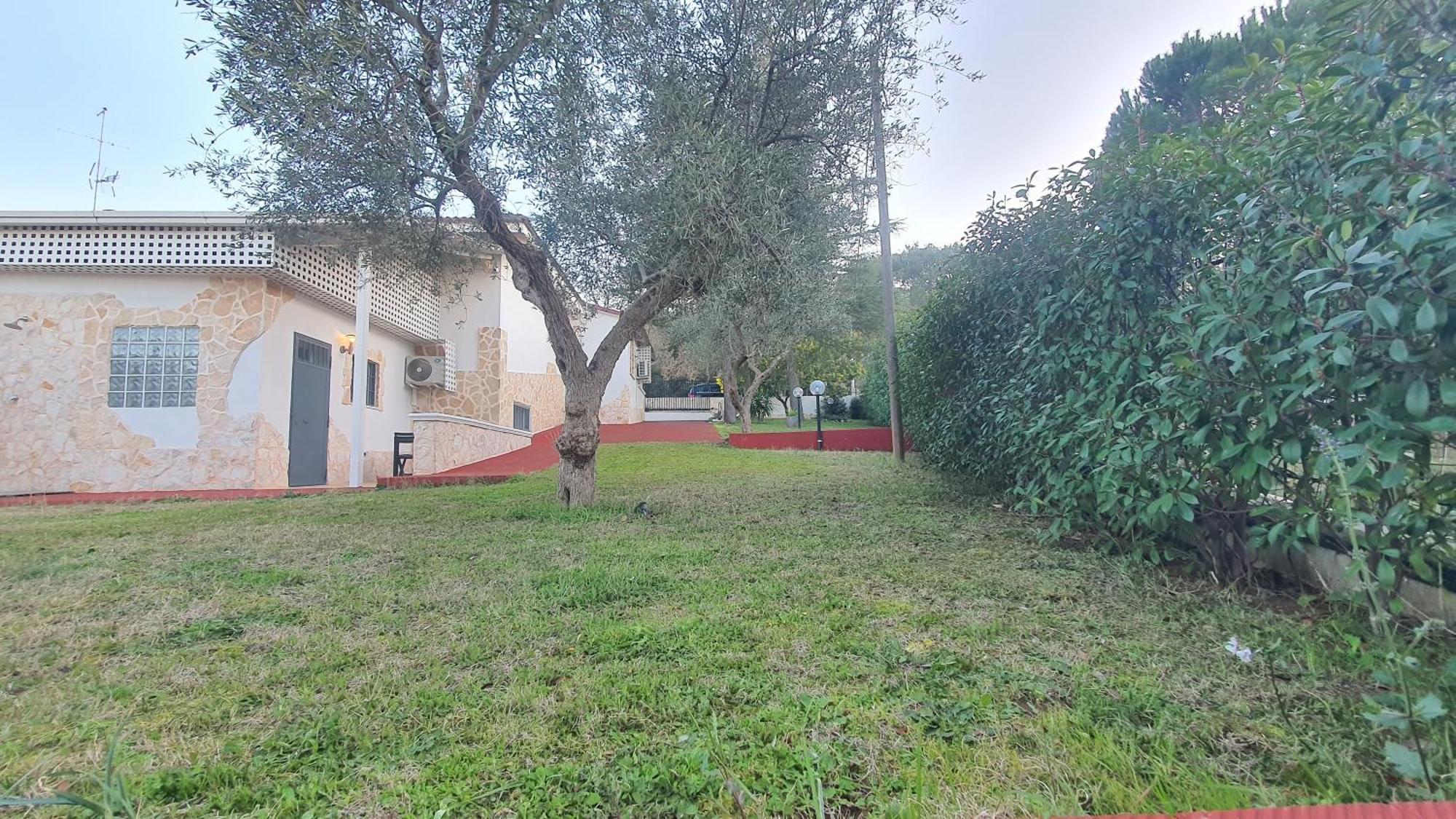 Mercadante - Luxury Holiday House Cassano delle Murge Exterior photo