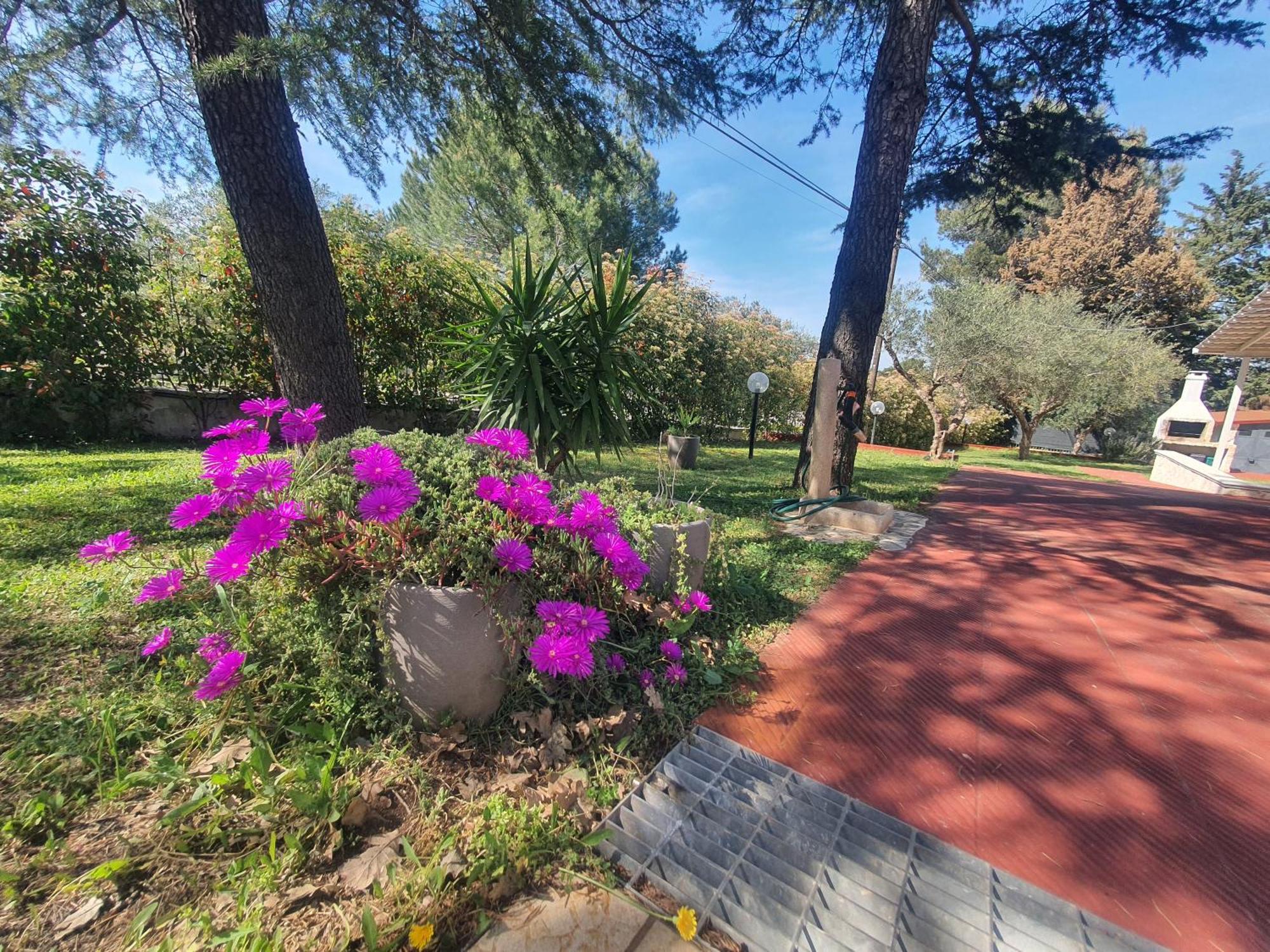 Mercadante - Luxury Holiday House Cassano delle Murge Exterior photo